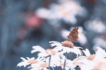 0C645BFC-5574-4D61-910F-676ECEB068A6/L0/001
