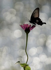 F5F1462B-AB21-4AC9-B752-2A3DCEB59C17/L0/001