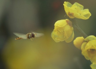 09C67AEE-D82B-4E53-83FB-0761E9D5D03F/L0/001