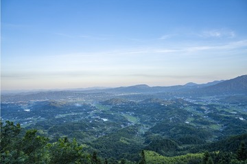 2009211