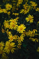 047EB39D-35F8-4D72-BB78-3E371312DBCF/L0/001