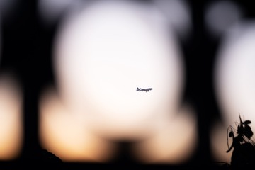 E80E8529-7144-40A3-A7CE-F23049C65FC9/L0/001