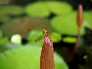 P8290317
