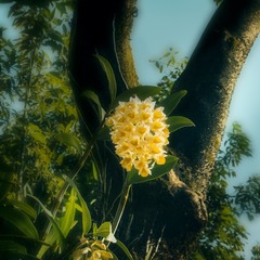 1E09D55E-BF39-45B9-89DC-BFA85520095B/L0/001