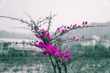 02D23EA4-FD35-4136-A9B1-0288B7782302/L0/001
