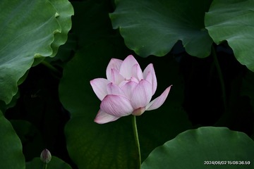 001