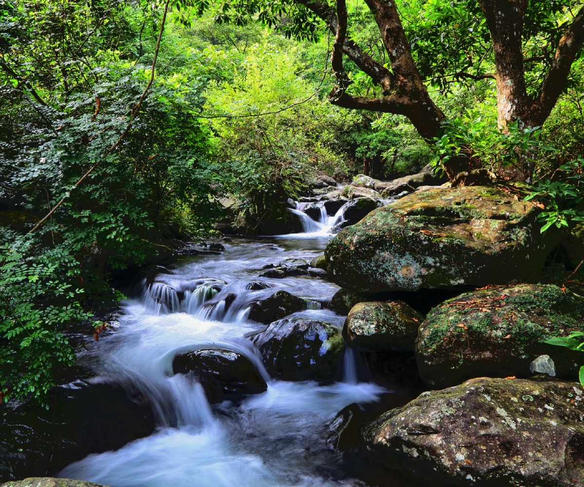山间的小溪一直都是我最爱的题材