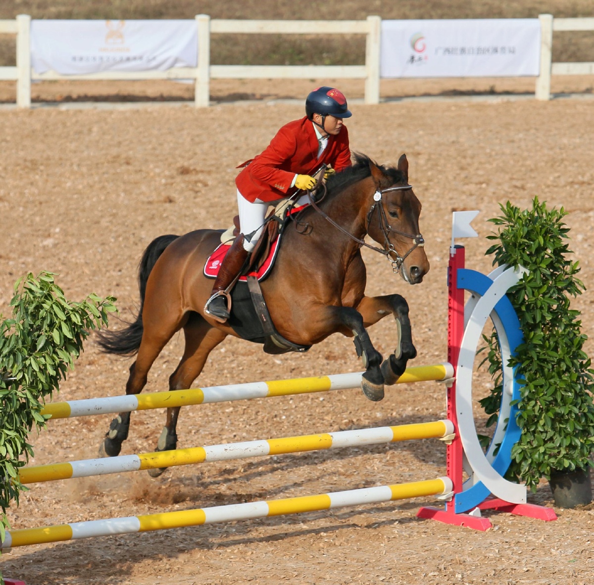 广西青少年马术锦标赛105cm公开组集锦