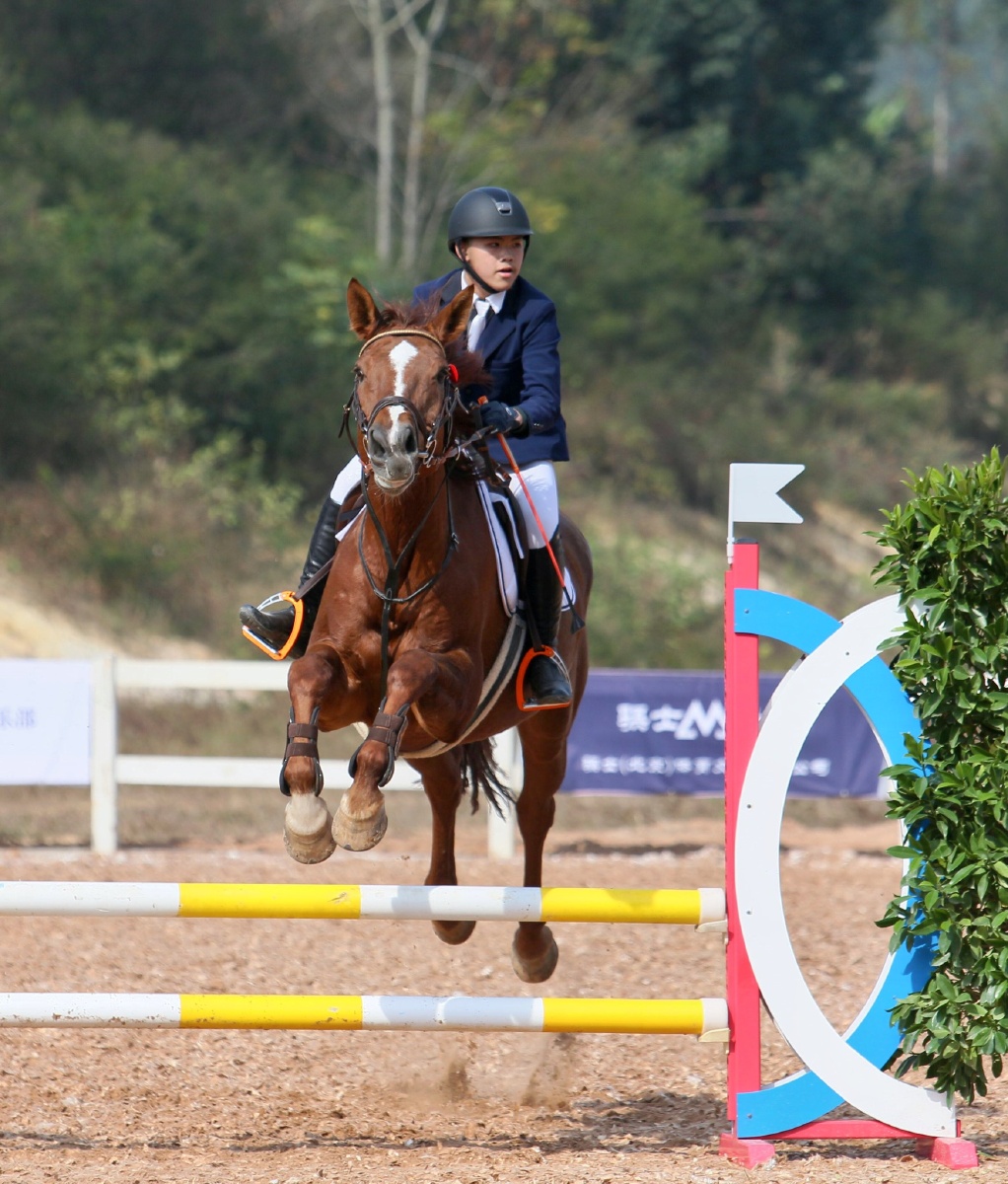 广西青少年马术锦标赛集锦