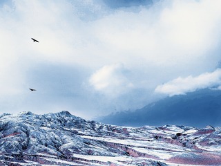 075083C2-F617-4EC1-9A1A-273EB511A223/L0/001