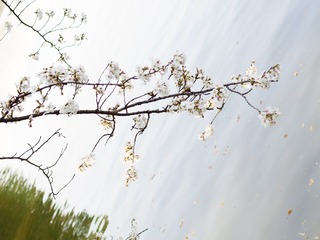 1820280