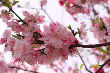 B0F89D9F-61F1-43BF-AF30-EBB5262045A4/L0/001