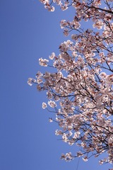 2F9992BE-F66E-4852-86C9-2D3822D1461A/L0/001