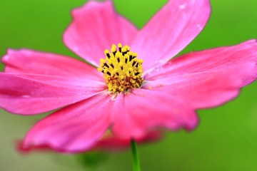 408979E0-2EC3-4DBD-A6F8-5E6CCA627043/L0/001