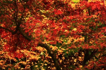 122555D9-FD73-48A8-9B08-0AB0B3E75B11/L0/001