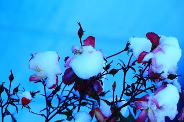 829EE1AF-1014-46FB-A91D-773CF14B6002/L0/001