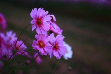56FC0172-2CDF-4113-BB25-8342C096D9BC/L0/001