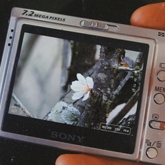 81577EF3-BF62-49CA-BABE-6D7FAD127A9E/L0/001
