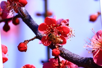 A5BCD953-A49D-4255-9D86-FC334C0EC1BF/L0/001