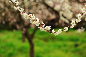 7C7F33F7-AAD8-451A-BAA3-1B05CA0B353D/L0/001