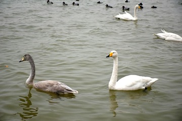DSC_0182_