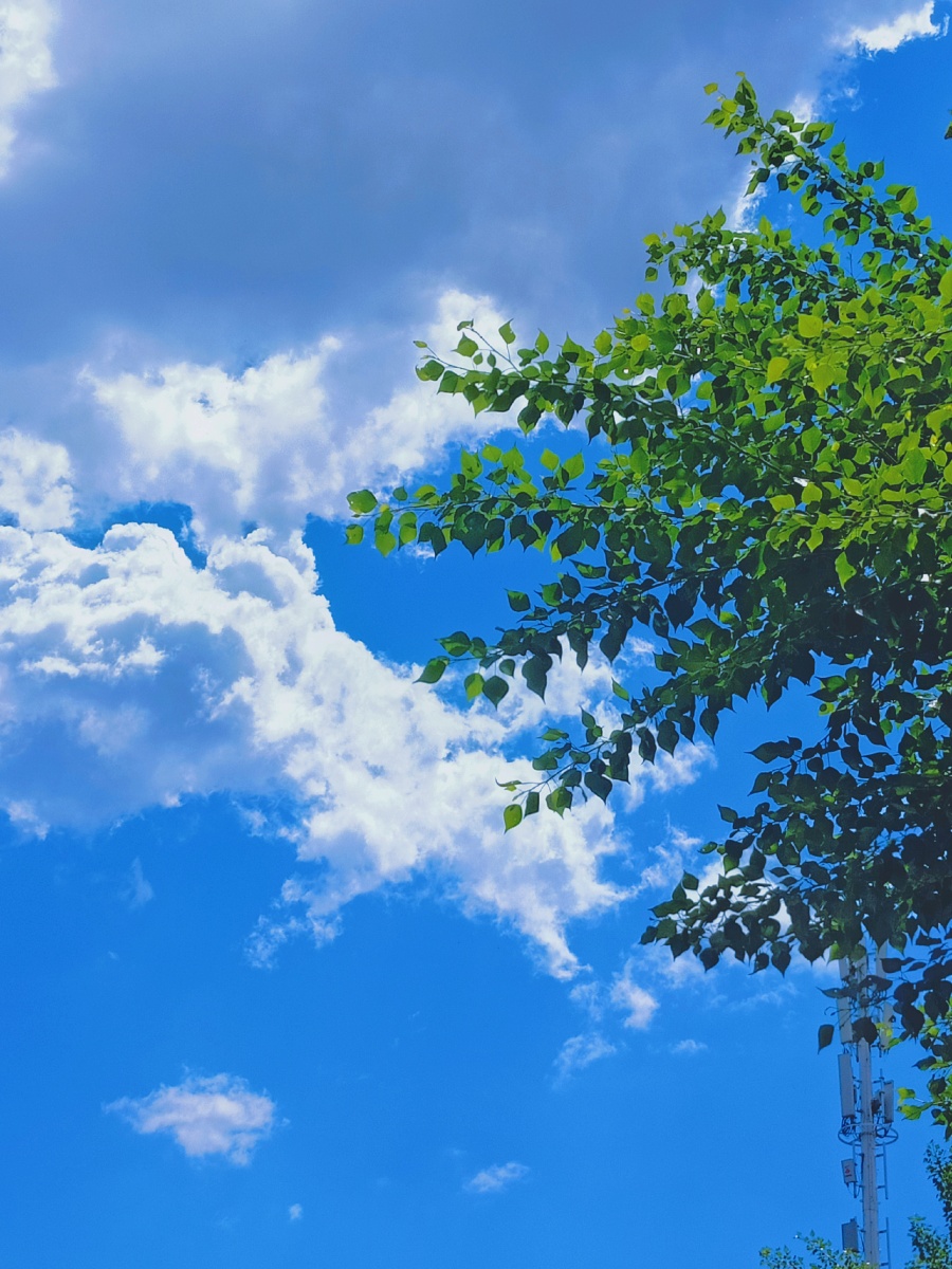 夏日阳光 - 无妄155 - 图虫