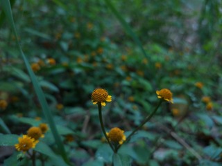 D4065BA9-3C4D-40ED-A6F6-0DBBCA89B3E1/L0/001