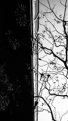 7A189624-D020-4F16-B678-7128148D32AF/L0/001