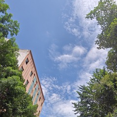1000053284