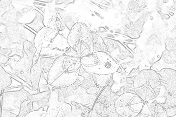 _CSC1066