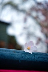 119CF14C-71E6-4EFD-97CA-B872B8EB18FE/L0/001