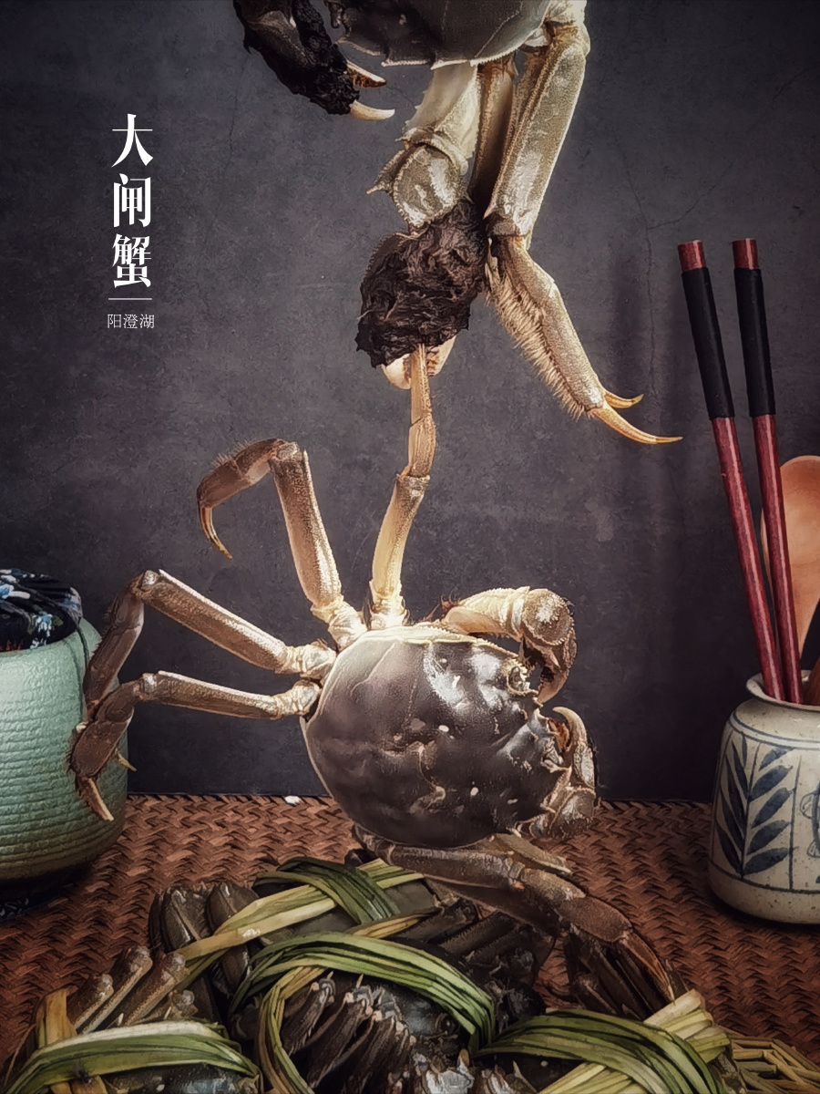 生猛的阳澄湖大闸蟹