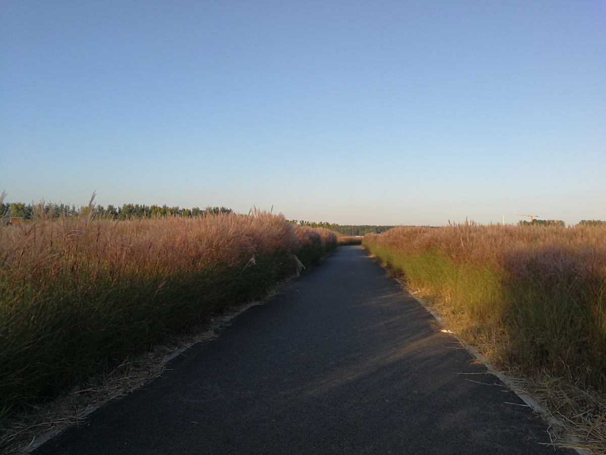 北京琉璃河湿地公园
