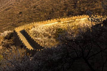 长城  春