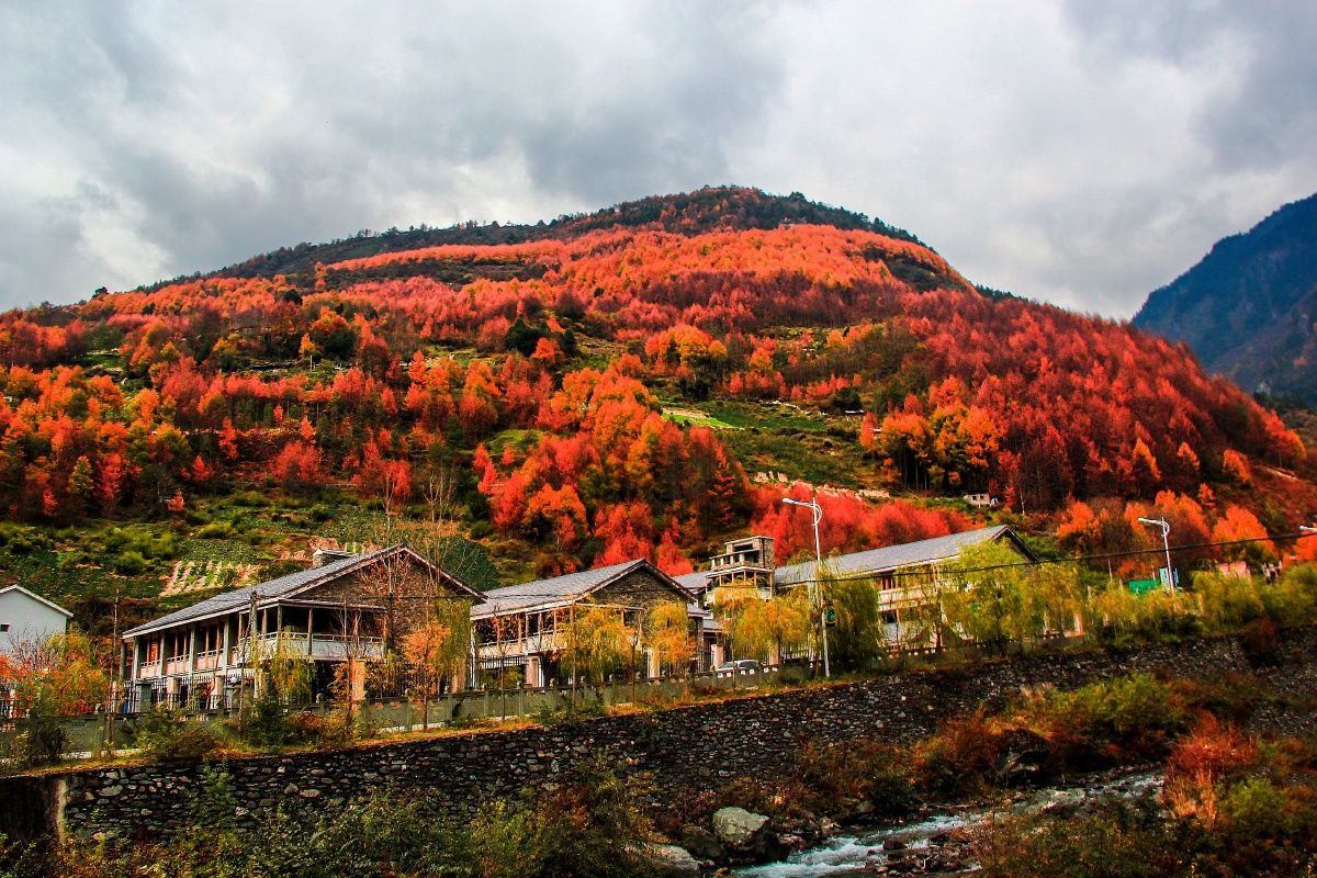 卧龙自然保护区摄自四川省阿坝藏族羌族自治州汶川县