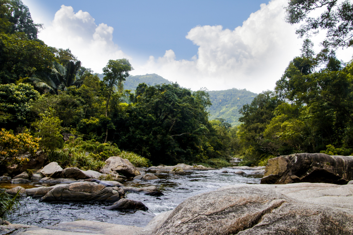吊罗山国家森林公园