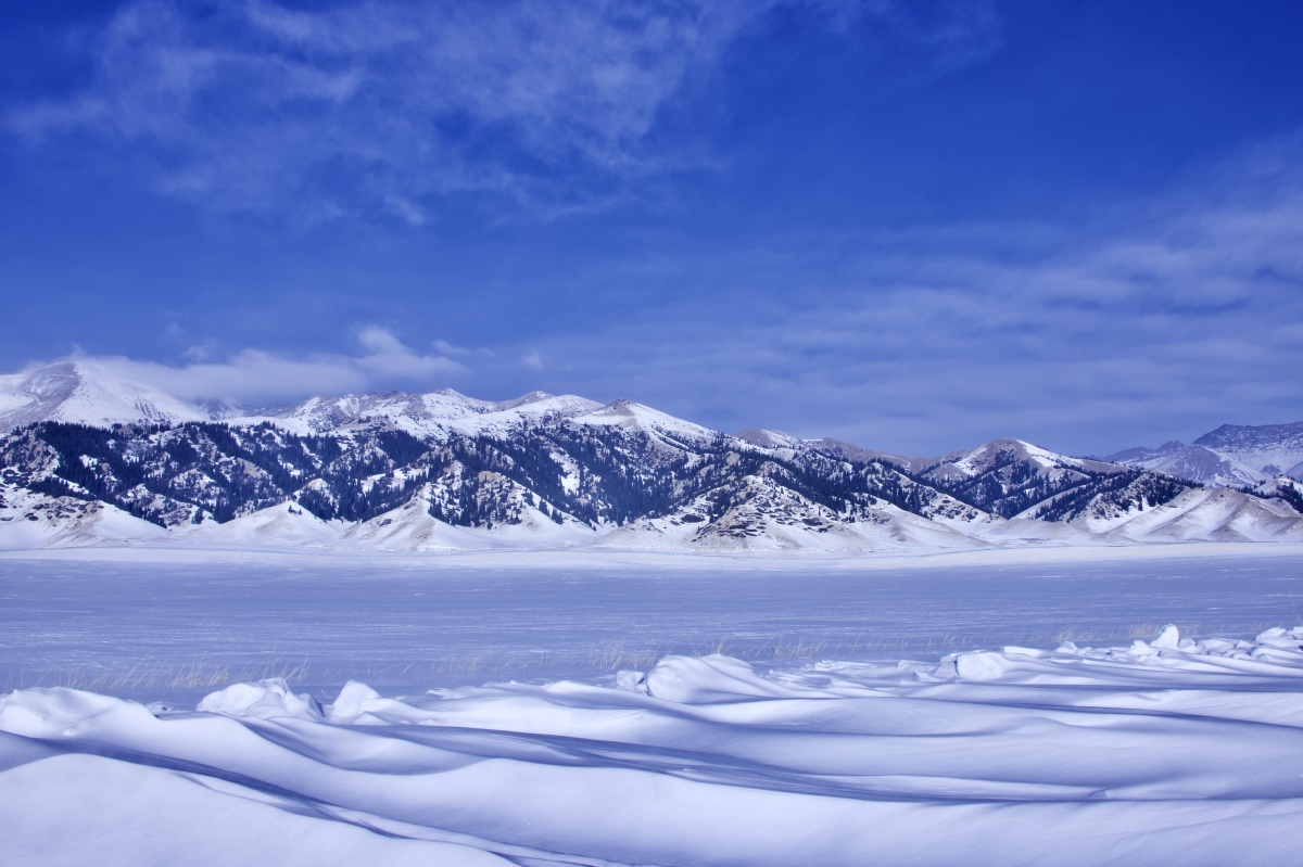 雪浪咆哮雪域高原的狂风呼啸使道路两旁的积雪形成了层层叠叠的雪堆