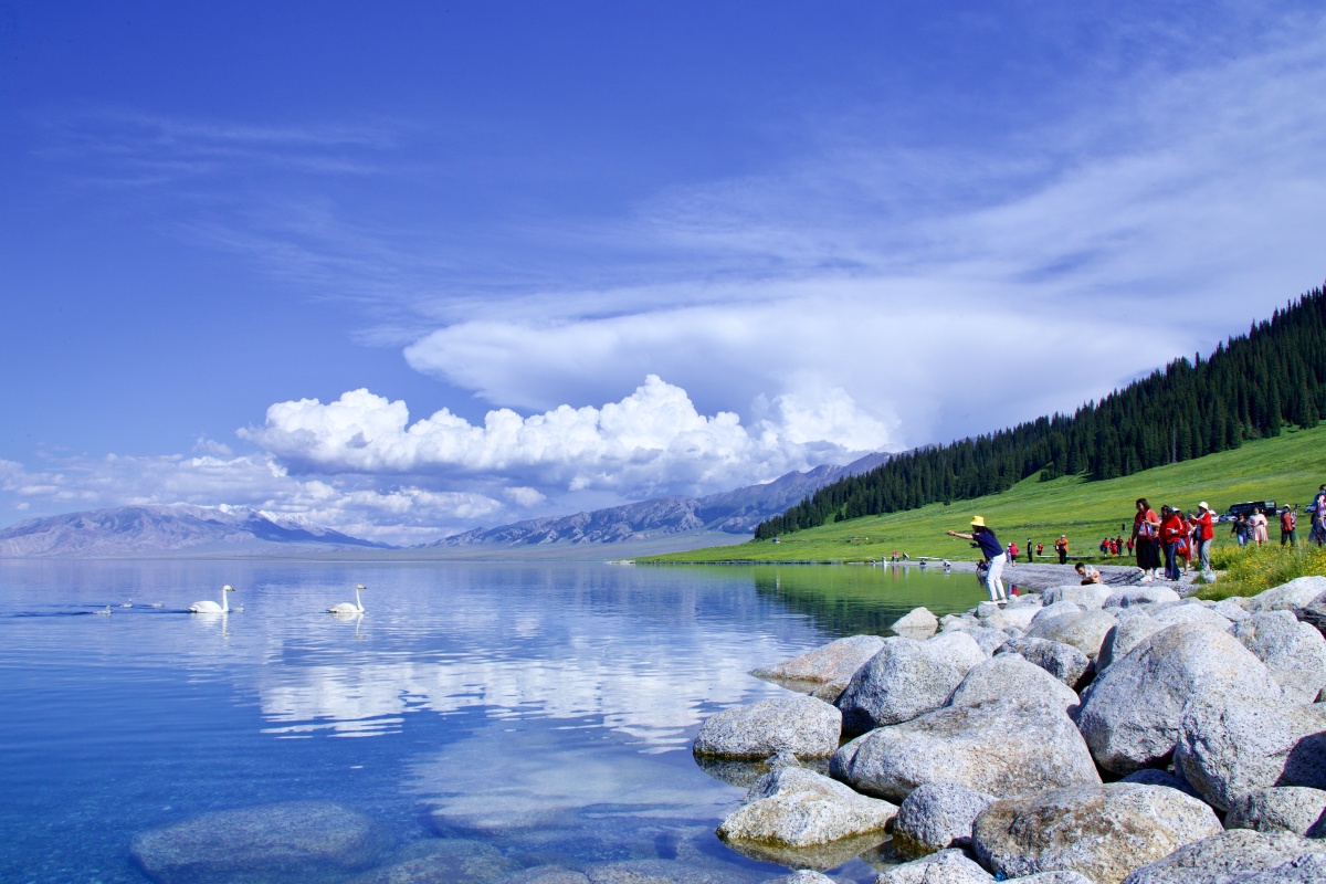 亲切的呼唤新疆赛里木湖的夏天