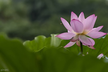DSC_3002-2