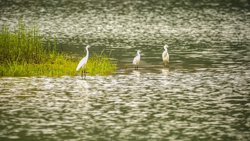 DSC_2575-3