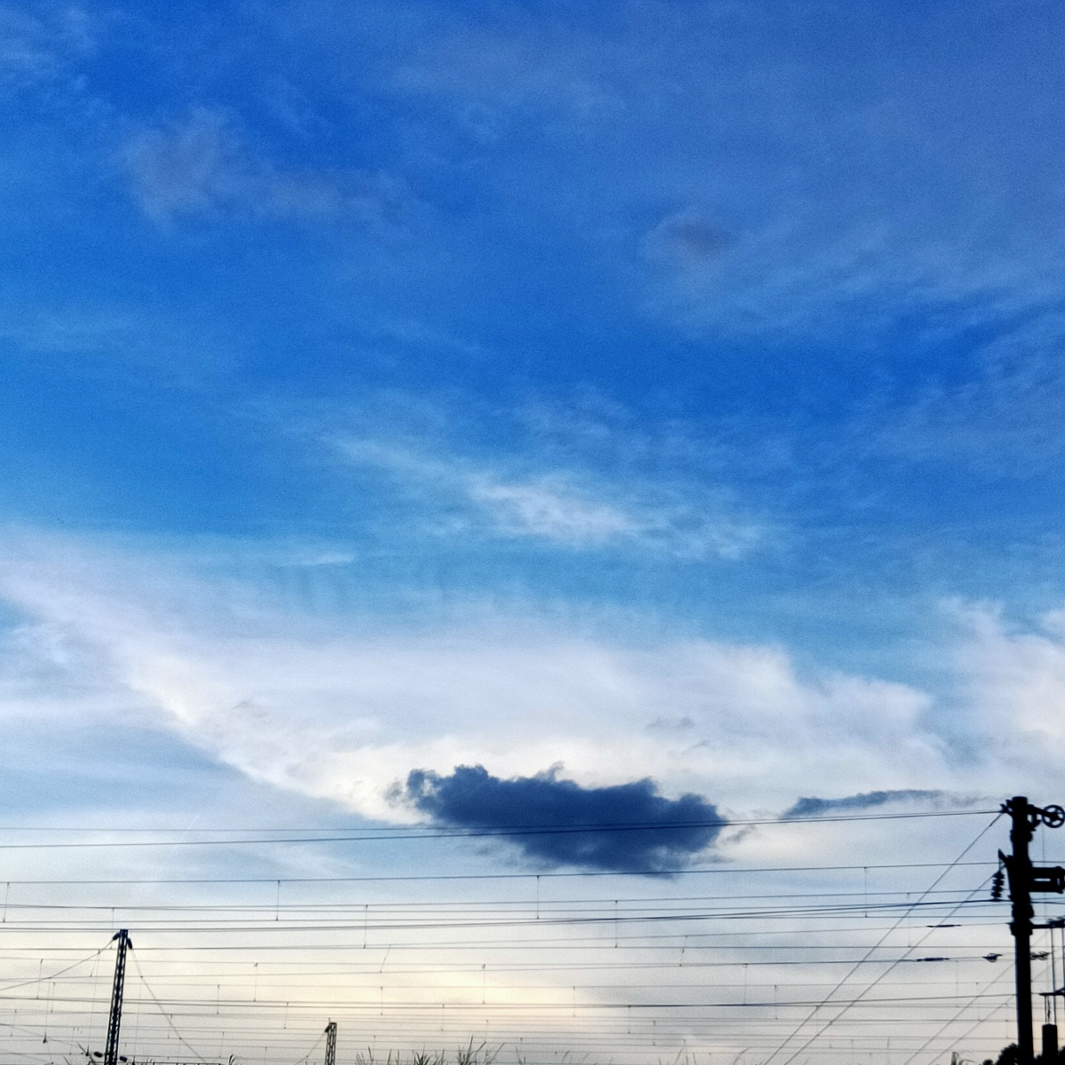 像子鼠凤鹰揽不住风吹走的云朵