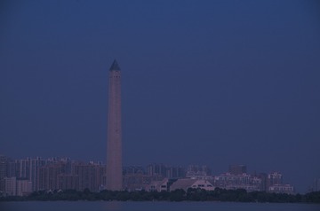 2616068