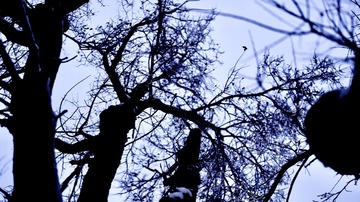 5E74F137-B632-4EEC-B8C1-08E7B7538138/L0/001