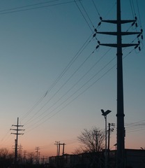 329165