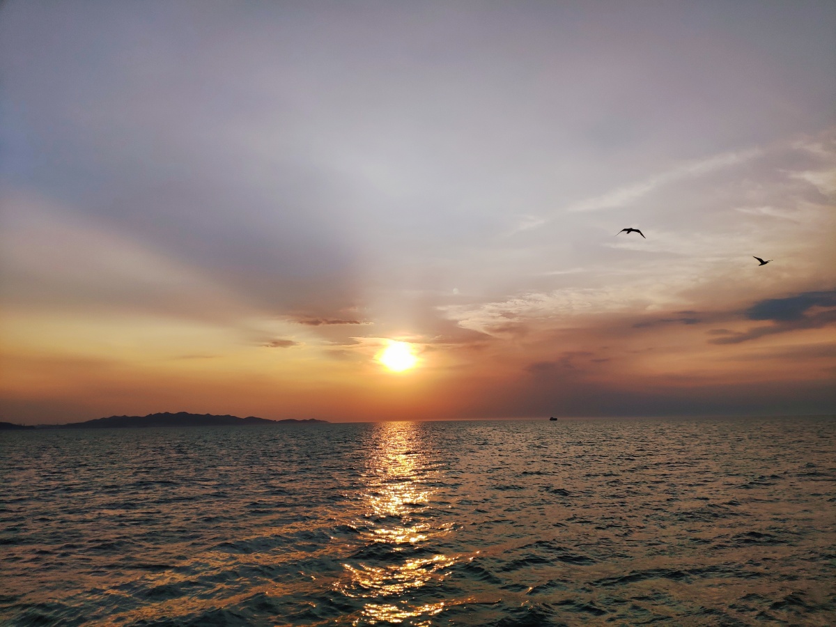 我的主题都是以海为背景喜欢大海诠释的那种大爱无疆孤独夕阳下美的
