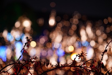 C157A710-EC2C-4AB5-886D-5E3B22B4E5F7/L0/001