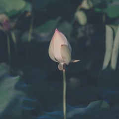 102546