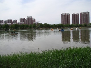 15南湖湿地公园 041