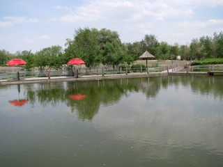 15南湖湿地公园 146