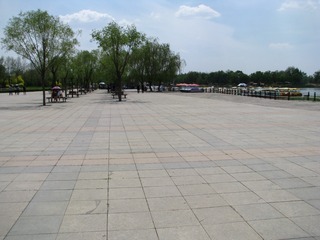 20南湖湿地公园 125
